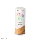 Konfirmationskerze Holzelement Docht Regenbogenfische Ø8 x 20 cm