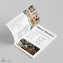 Maturazeitung Plakativ