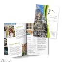 Maturazeitung Ametrin