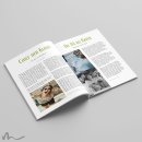 Maturazeitung Ametrin