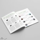 Maturazeitung Farbwahl