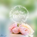 Cake Topper Merry Christmas Kranz Opulent Transparent